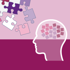Sozialwissenschaftliche Organisationsforschung