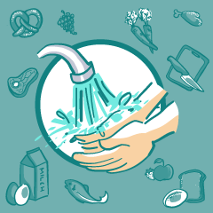 Lebensmittelhygiene - allgemein (LMHV EG 852/2004) - Online-Schulung