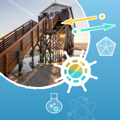 Führung im Spannungsfeld zwischen Optimierung und Innovation