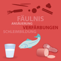 Chemie und Hygiene der Lebensmittel